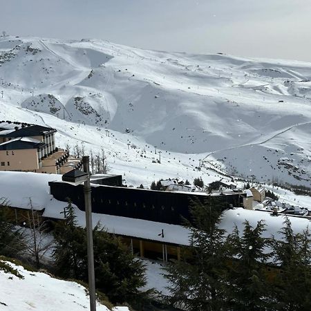 Biznaga Nevada Apartment Гранада Екстериор снимка
