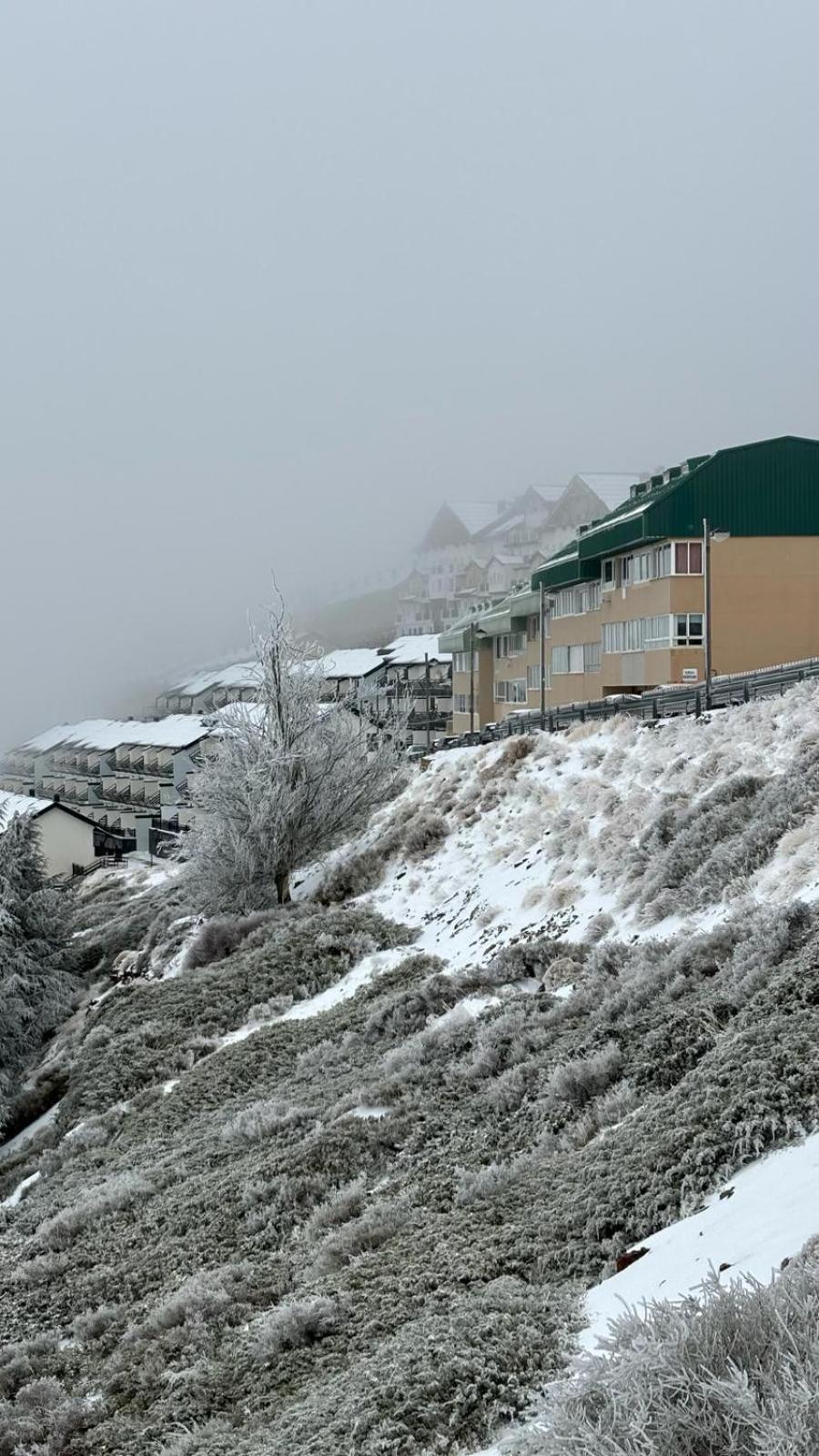 Biznaga Nevada Apartment Гранада Екстериор снимка