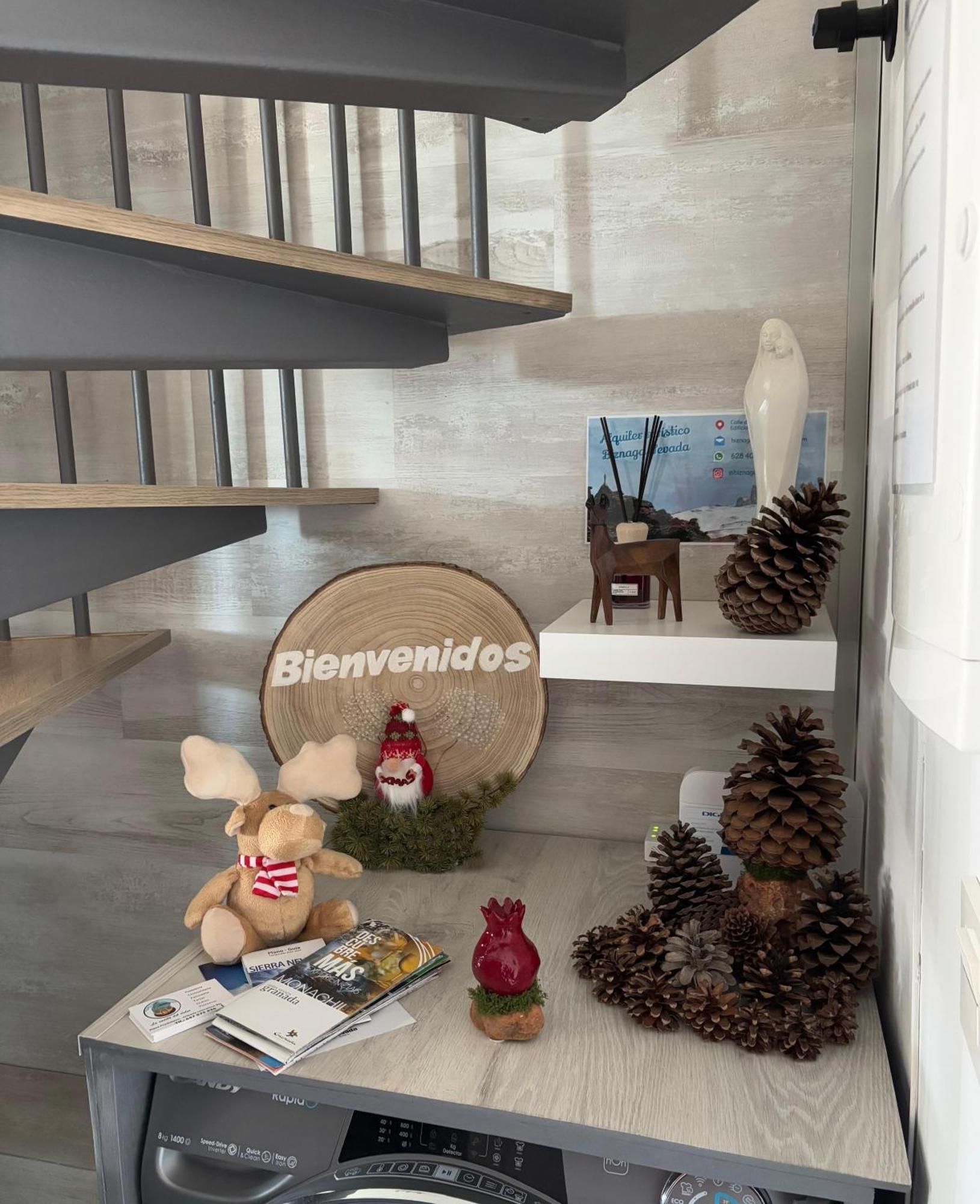 Biznaga Nevada Apartment Гранада Екстериор снимка